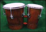 Bongo